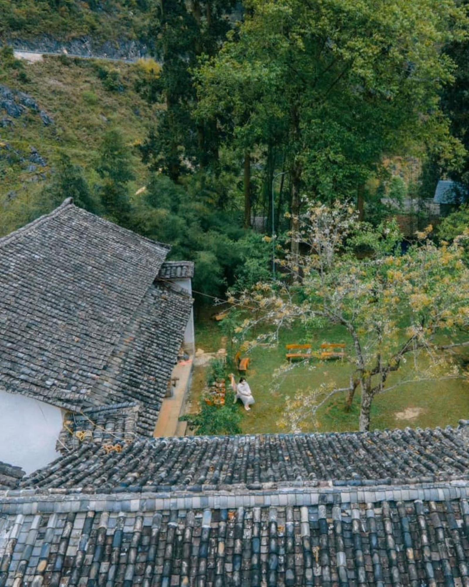 Voi Meo Vac Hostel & Breakfast 外观 照片