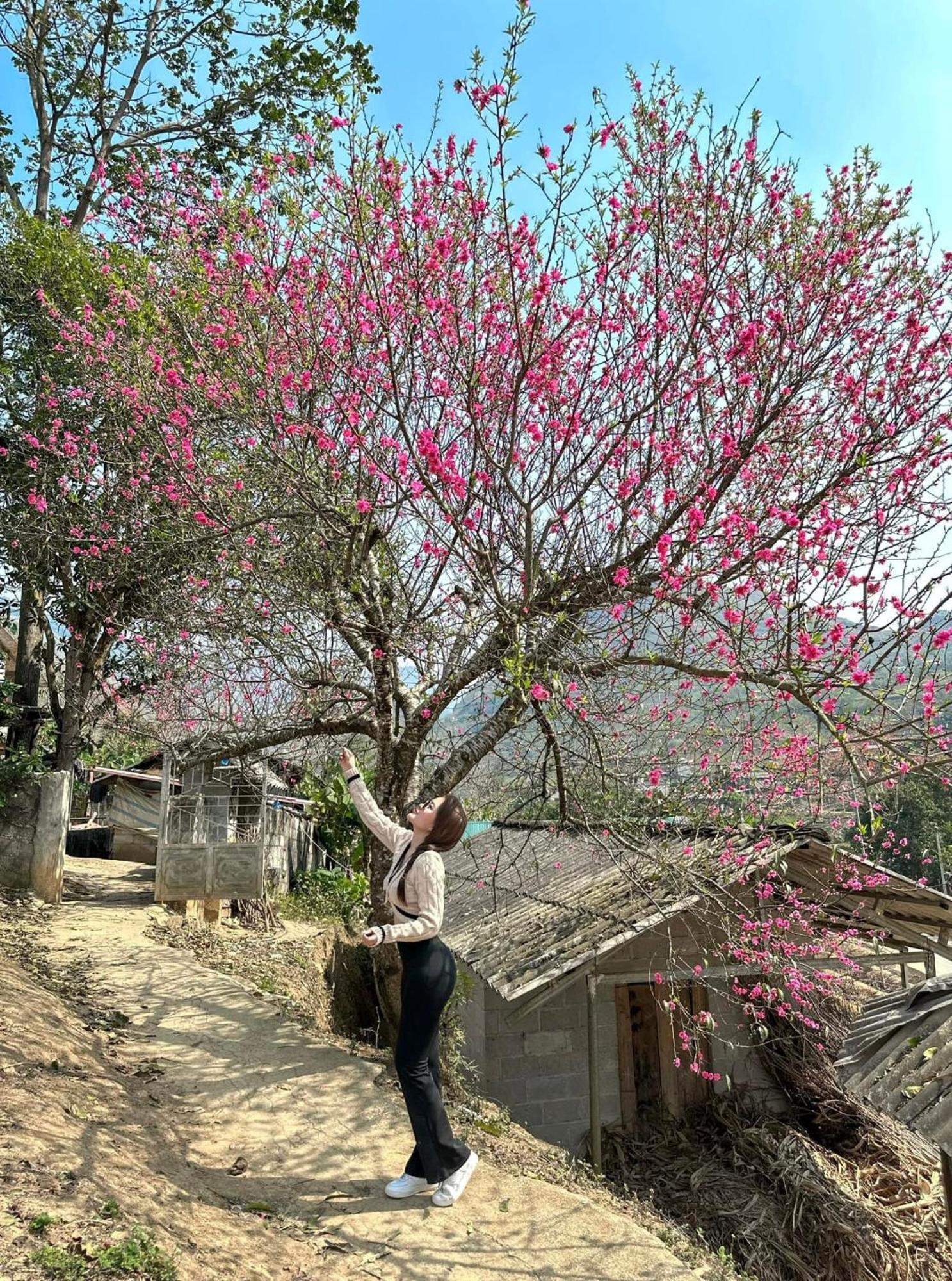 Voi Meo Vac Hostel & Breakfast 外观 照片
