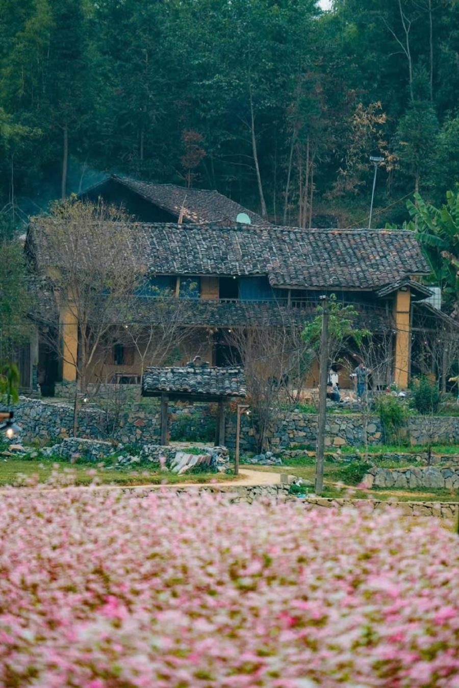 Voi Meo Vac Hostel & Breakfast 外观 照片